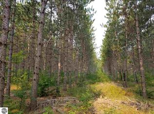 Tucker Rd, Elmira, MI 49730