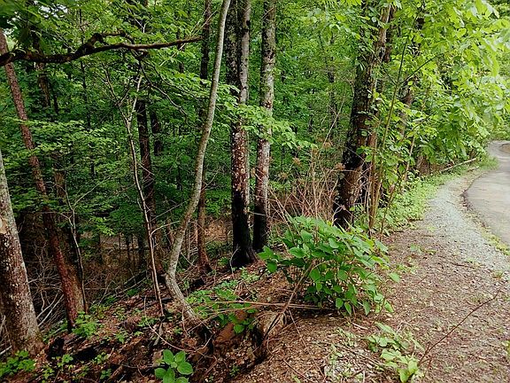 3rd image of 3031 Whipoorwill Hill Way Lot 30&31