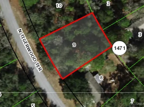11057 N Tigerwood Ter, Citrus Springs, FL 34434