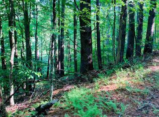 0 Edsel Hollow Trl, Vesuvius, VA 24483