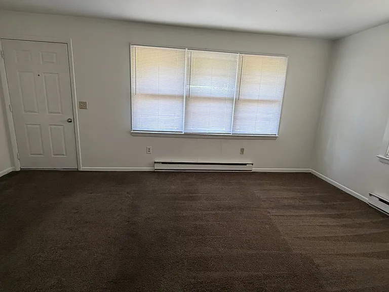 431 Hearn Ln — Photo 3