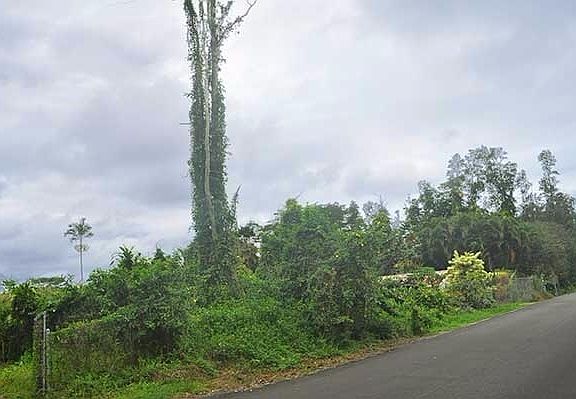 3rd image of Puni Mauka Loop S Lot 405