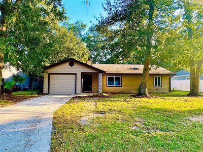2205 NW 43rd Pl, Gainesville, FL, 32605