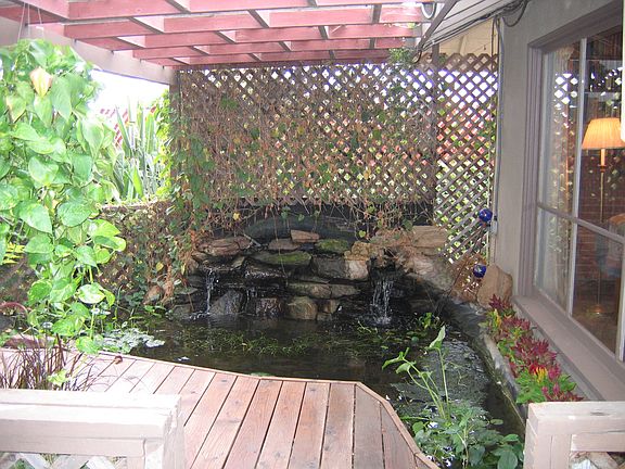 Pond outside of living room