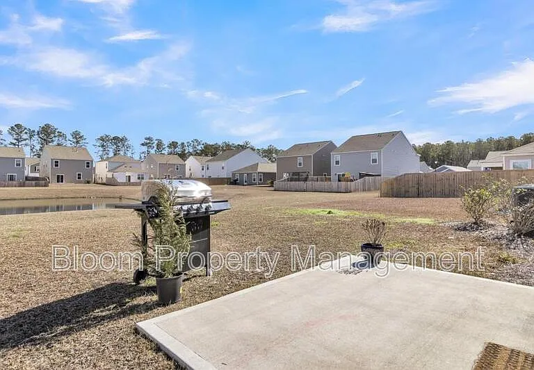 440 White Scallop Way — Photo 37