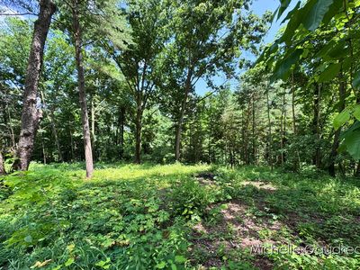 Vl W Irving Rd, Hastings, MI, 49058