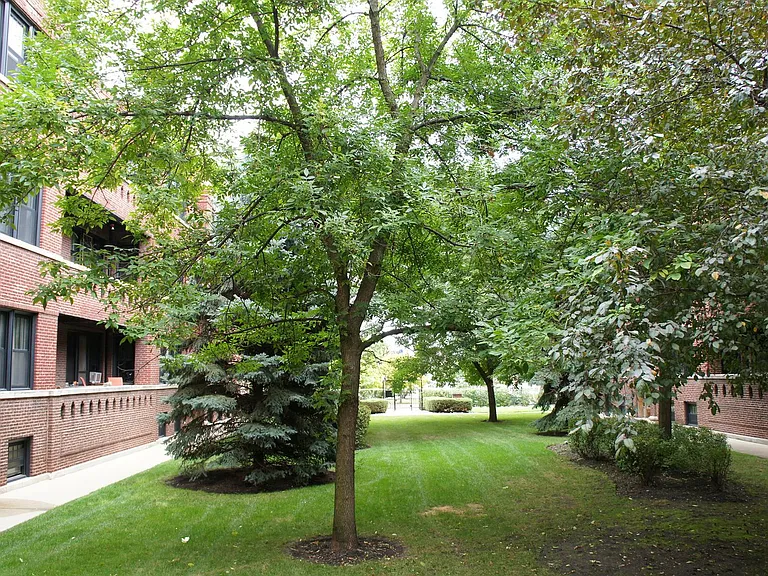 2516 N. Kedzie LP — Photo 22