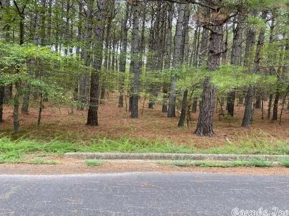 4 Redondo Trce, Hot Springs, AR 71909