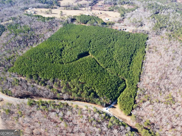 0 County Road 99, Gaylesville, AL 35973