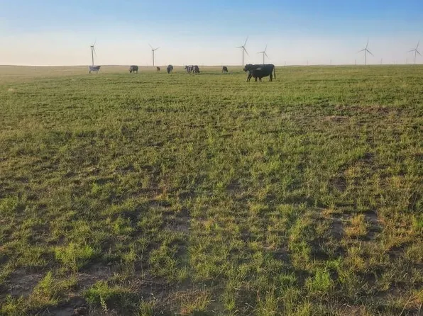 169 County Road, Matheson, CO 80830