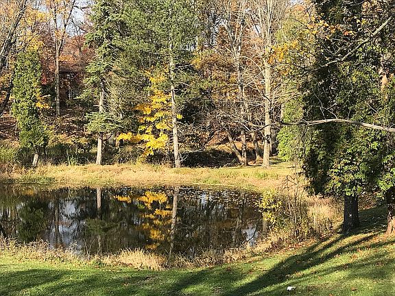 Pond back yard view