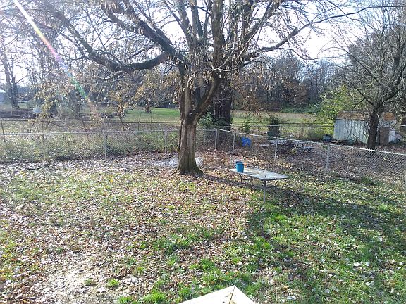 Backyard (2)
