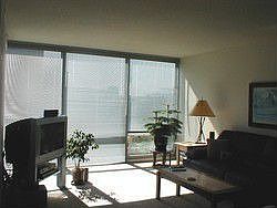 2nd image of 800 Elgin Rd APT 503