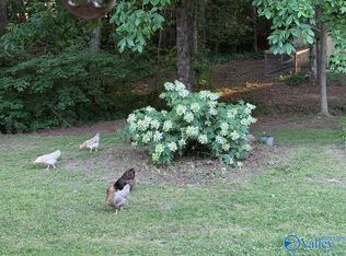 1121 County Road 70, Fyffe, AL 35971