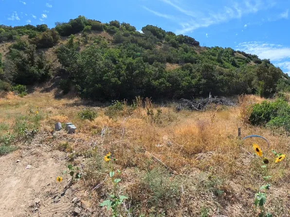 3647 Riverstone Rd, Mapleton, UT 84664