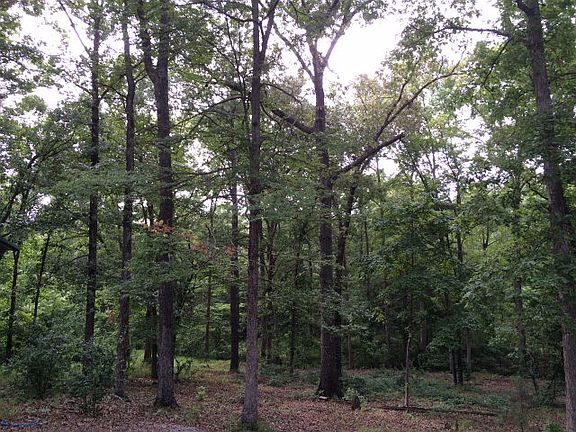 3rd image of 3651 Sagamore Dr