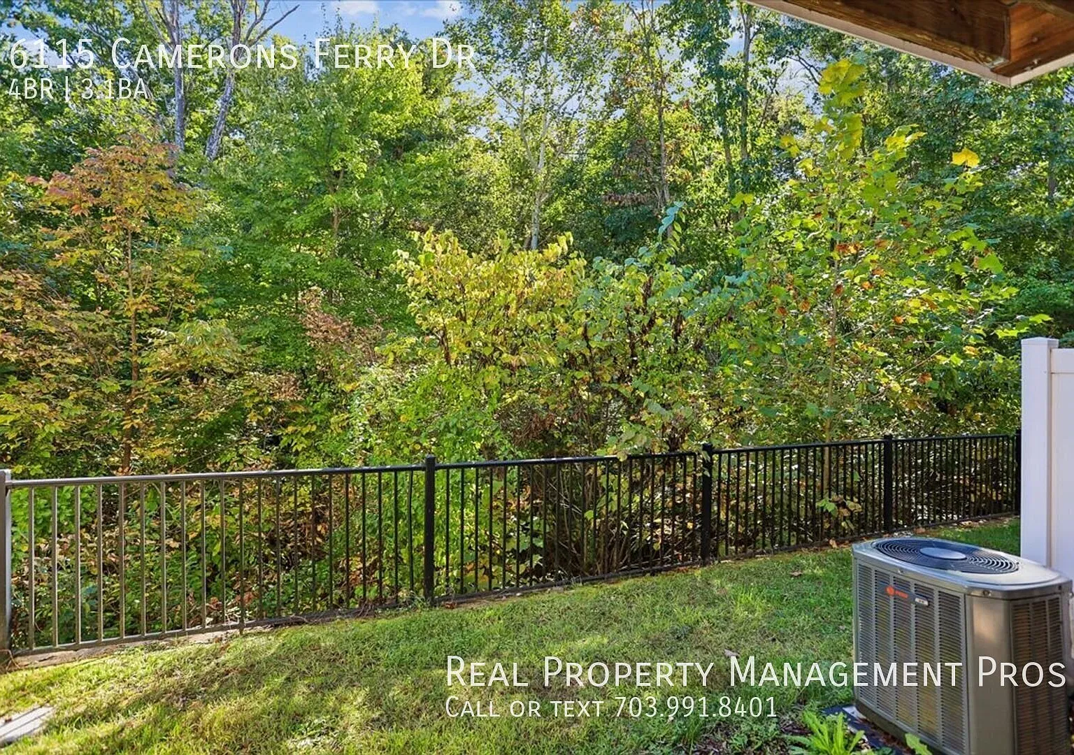 Back to trees-Qualify for a zero deposit? — Photo 4