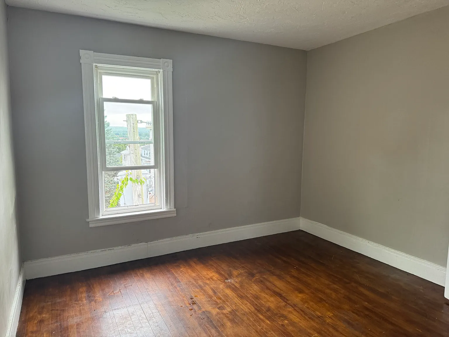 3 bed, $1,800 — Photo 3