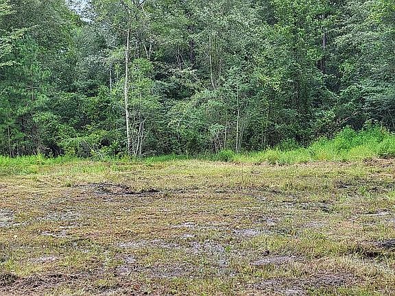 4th image of 652 Old Jacksonville Hwy