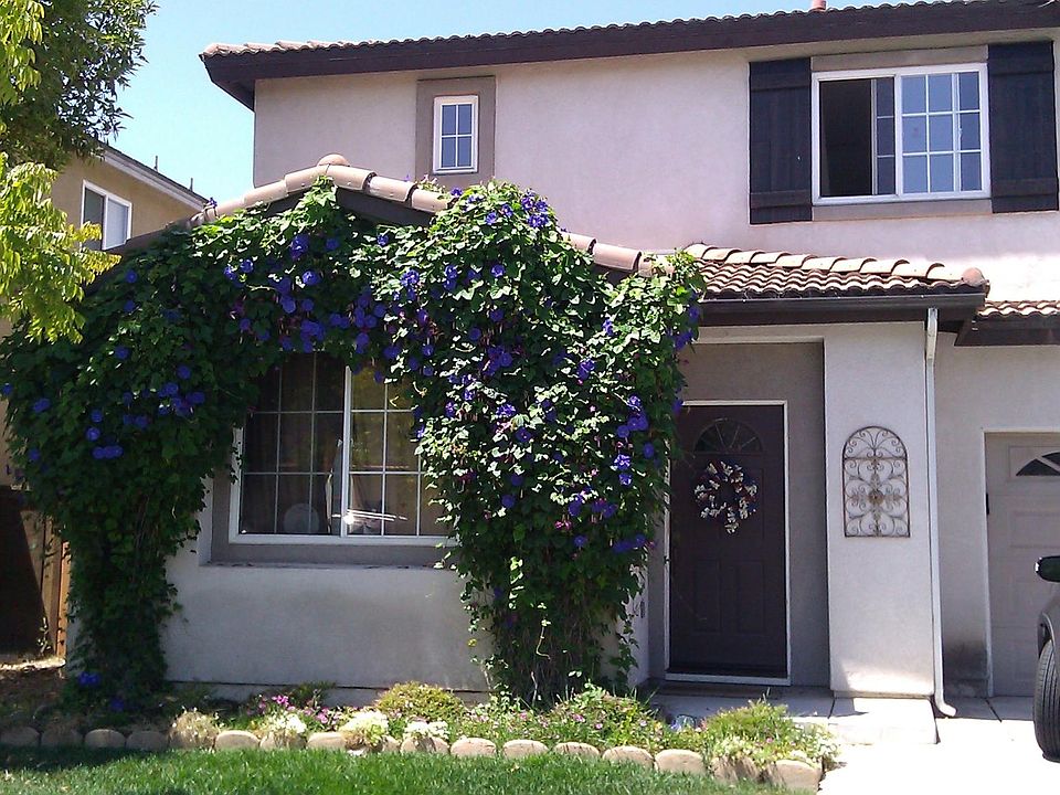 1st image of 816 Vista San Matias