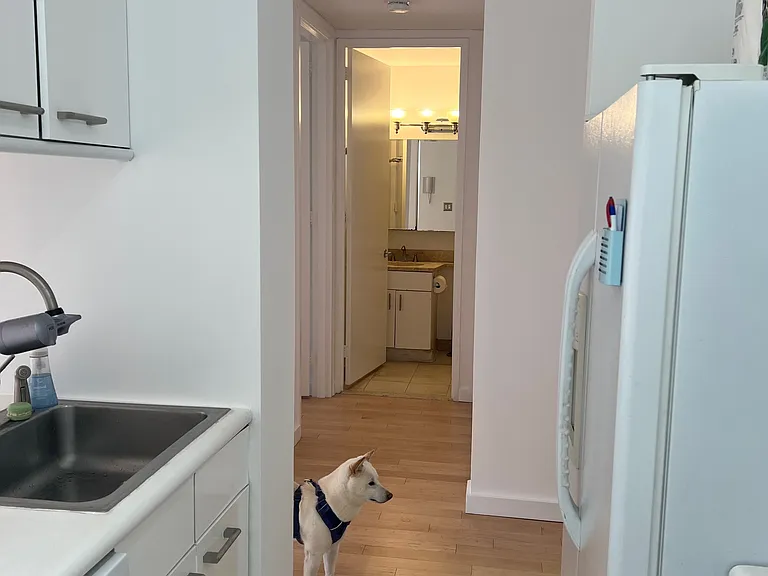393 W 49th St #4F — Photo 7