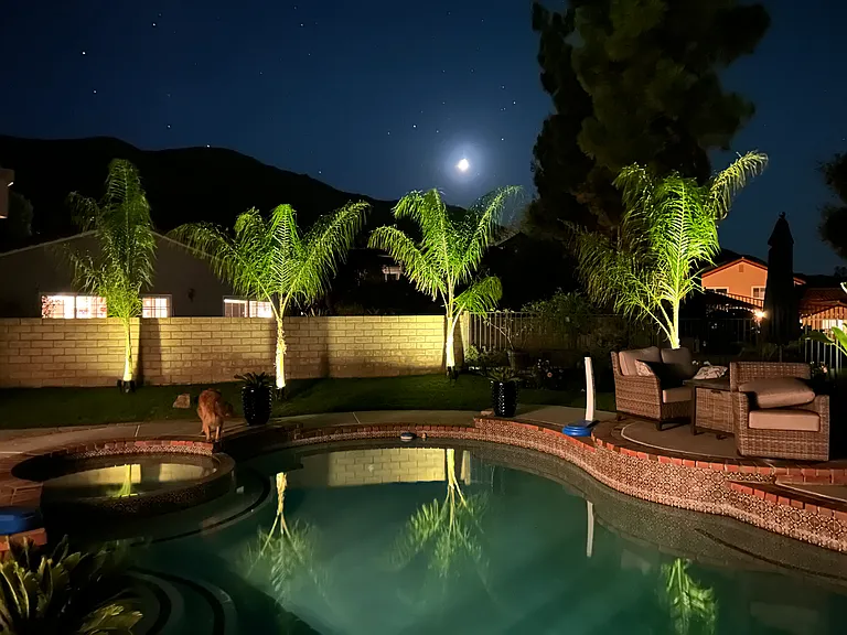 807 Chaparral Ct — Photo 37
