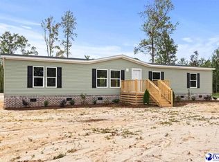 1743 Rhodes Community Rd, Darlington, SC 29540