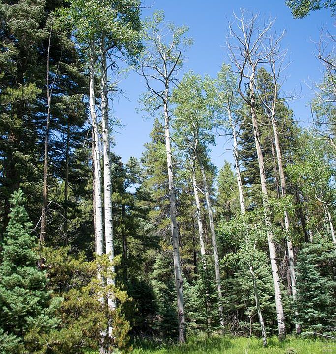 1st image of LOT 489 N Site Address Lot 489