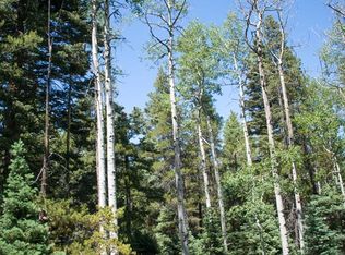 LOT 489 N Site Address LOT 489, Fort Garland, CO 81133