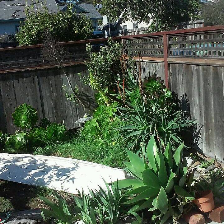 Part of yard
