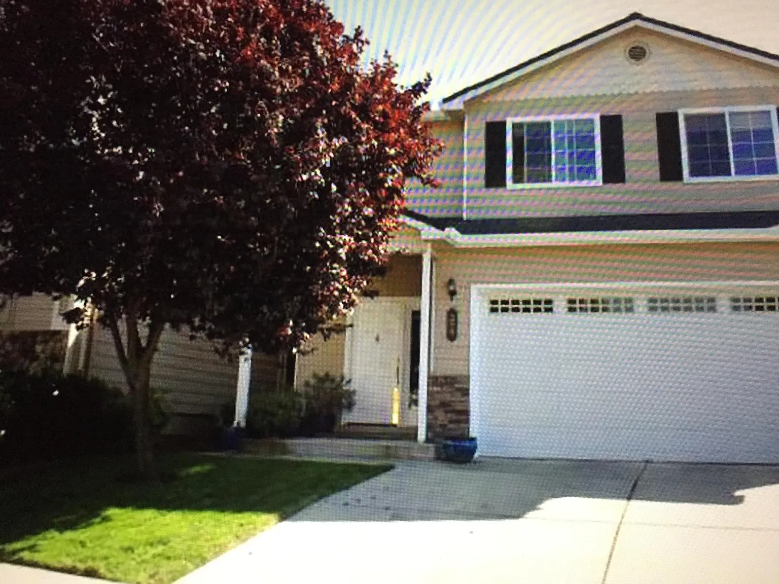 298 Meadow Dr photo 1