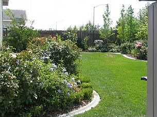 Lawn