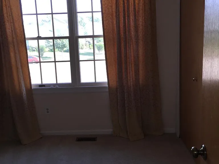3217 Pinebluff Ct — Photo 18