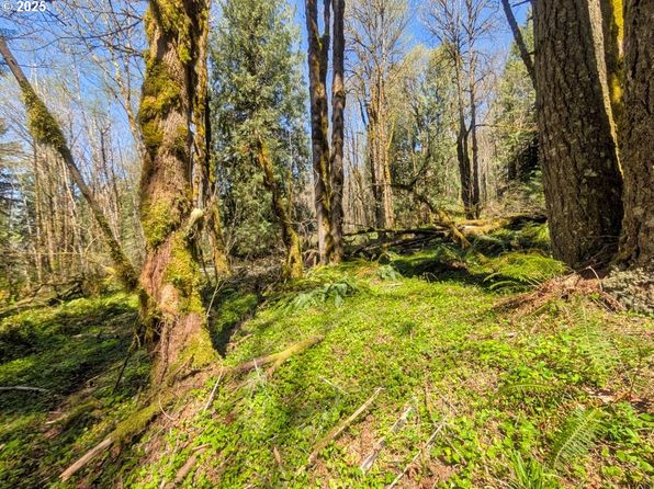 27170 E Salmon River Rd, Welches, OR 97067