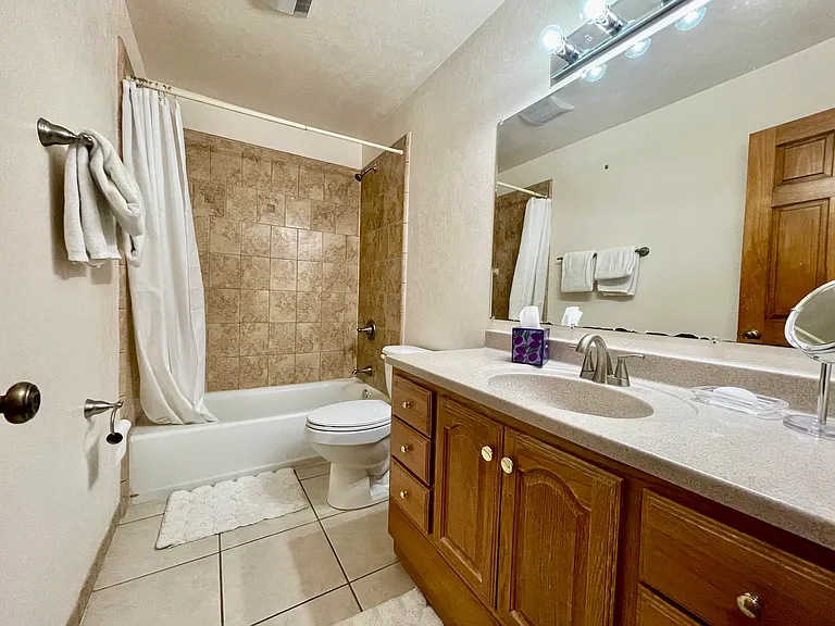 Lower level bathroom