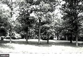 1st image of 1045 Bishop Walsh Rd