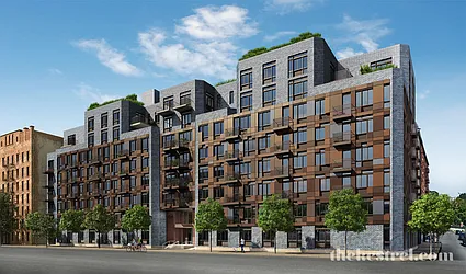 Rented by Bold New York