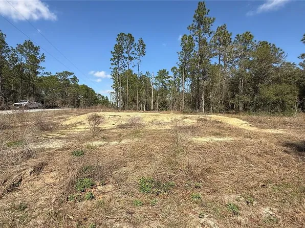 259 NW Redwood Dr Lot 19, Dunnellon, FL 34431
