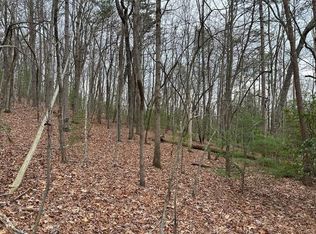 LOT 8 Marjorie Ave, Ellijay, GA 30536