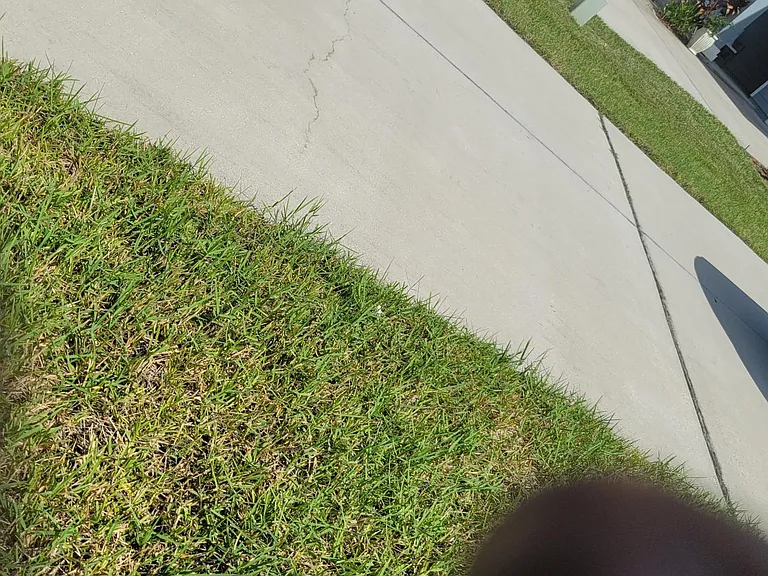 drive way