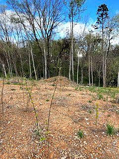 1st image of LOT 3 W Meeting St