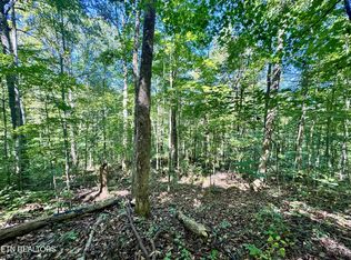 53 W Bobcat Ln LOT 53, Wilder, TN 38589