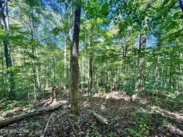 53 W Bobcat Ln Lot 53, Wilder, TN 38589