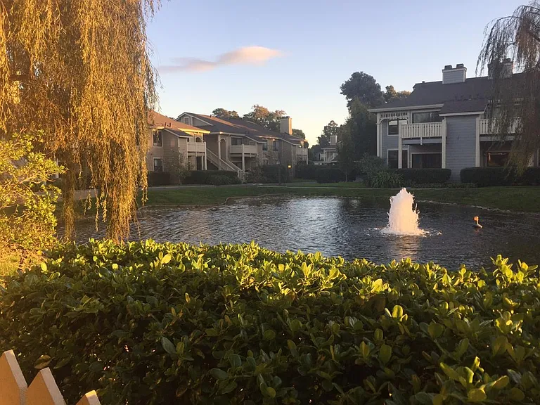 Patio View