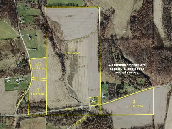 Foundry Hill Rd, Hanoverton, OH 44423