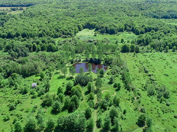 Stocked pond on property