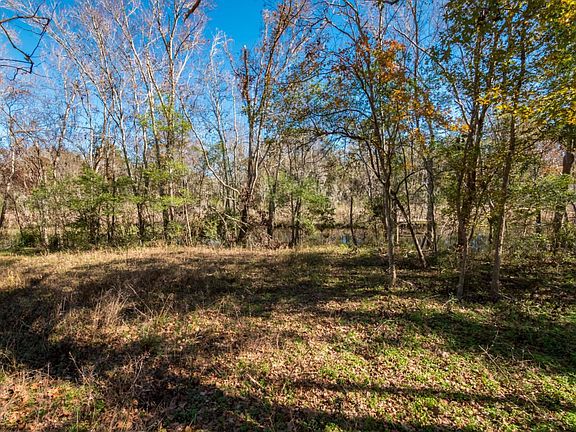 04 creek at the back of the property