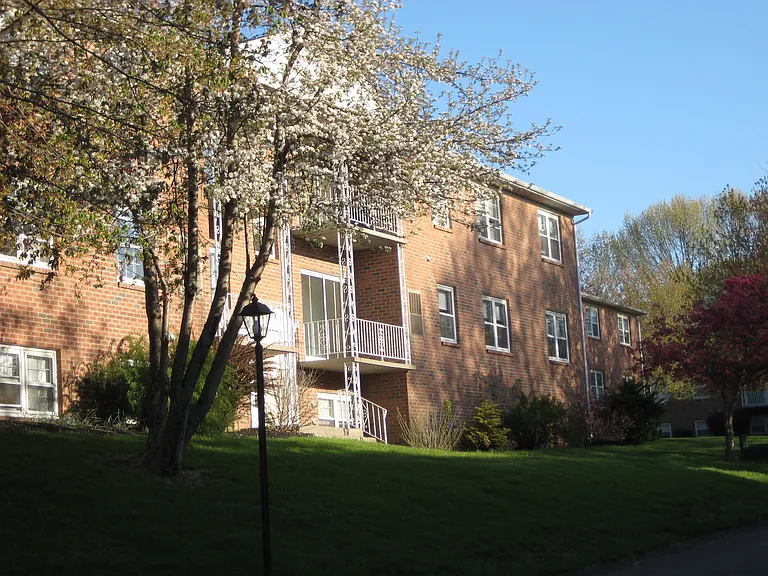Park Hill Lane Apartments — Photo 29