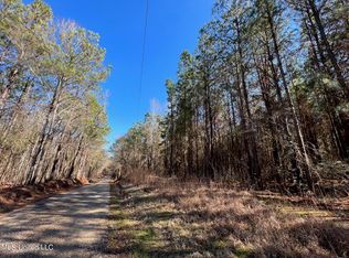 Ac McLendon Rd, Mendenhall, MS 39114