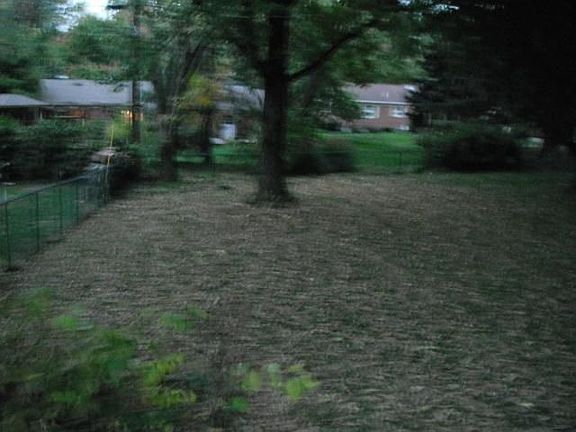 5th image of 4801 Laurelann Dr